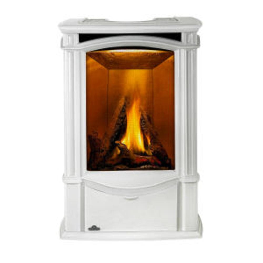 Stock Image - Napoleon - Castlemore™ Direct Vent Stove, Natural Gas, Electronic Ignition - Winter Frost Napoleon Hearth Gas Freestanding Stove - Builders Materials